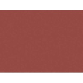 folia Papier de couleur, (L)500 x (H)700 mm, marron chocolat