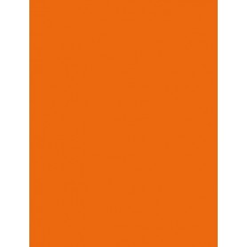 folia Papier de couleur, (L)500x(H)700mm, 130 g/m2, orange