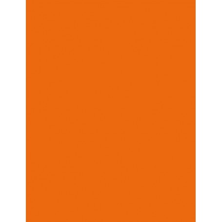 folia Papier de couleur, (L)500x(H)700mm, 130 g/m2, orange
