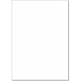 folia Carton de couleur, (L)500 x (H)700mm, 220 g/m2, blanc