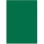 folia Carton de couleur, (L)500 x (H)700 mm, vert sapin