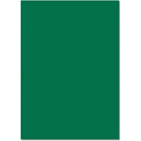 folia Carton de couleur, (L)500 x (H)700 mm, vert sapin