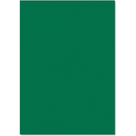 folia Carton de couleur, (L)500 x (H)700 mm, vert sapin