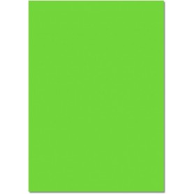 folia Carton, (L)500 x (H)700 mm, 300 g/m2, vert clair