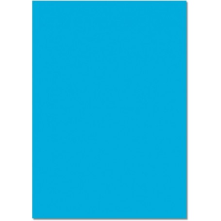 folia Carton, (L)500 x (H)700 mm, 300 g/m2, pacifique