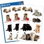 ZDesign KIDS Sticker \"chatons\", color