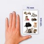 ZDesign KIDS Sticker \"chatons\", color