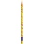 Maped Crayon de couleur PIXEL PARTY, tui carton de 12