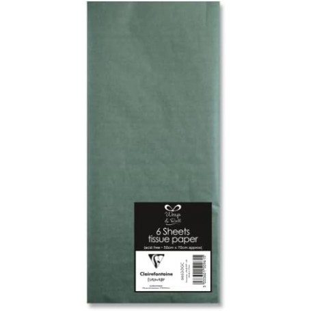 Clairefontaine Papier de soie, (l)500 x (H)700 mm,vert fonc