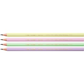 BIC Crayon de papier Evolution PASTEL, HB, assorti