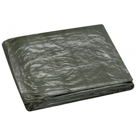 WESTEX Bche toile avec oeillets, 1,5 x 6 m, vert