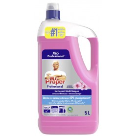 P&G Professional Mr Proper Nettoyant multi-usage 5 l, Cherry