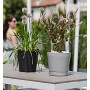 tera Pot de fleurs \"Orione\", diamtre: 290 mm, ash