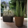 tera Jardinire \"Vega\", largeur: 400 mm, ash
