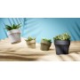 tera Cache-pot \"Tiny\", diamtre: 90 mm, golden lime