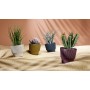 tera Cache-pot \"Mini\", diamtre: 130 mm, golden lime