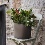 tera Pot de fleurs \"Capri\", largeur: 380 mm, cloud