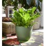 tera Pot de fleurs \"Over\", diamtre: 280 mm, black