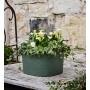 tera Bac plantes \"Rodi\", largeur: 370 mm, cloud