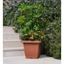 tera Pot de fleurs \"Nazca\", largeur: 200 mm, anthracite