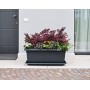 tera Soucoupe \"Tikal\", largeur: 500 mm, anthracite