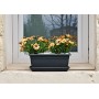 tera Jardinire \"Nara\", largeur: 500 mm, anthracite
