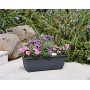 tera Jardinire XXL \"Tora\", largeur: 600 mm, anthracite