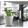 tera Pot de fleurs \"Standard One 60\", antracite