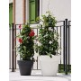 tera Pot de fleurs \"Standard One 60\", antracite