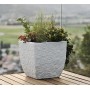 tera Cube plantes \"Lithos 40\", stone white