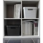 EDA Bote de rangement STONE, 12 litres, PP, vert laurier