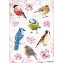 HERMA Sticker DECOR Rapaces
