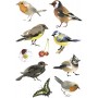 HERMA Sticker DECOR Rapaces