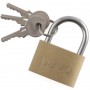 pavo Cadenas cl en laiton, (L)40 mm