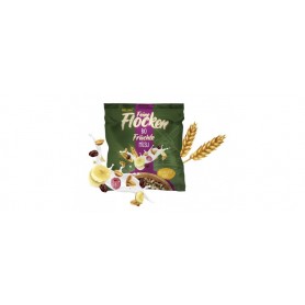 HELLMA Muesli aux fruits bio, en sachet portion de 45 g