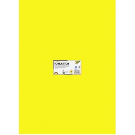 folia Carton de couleur, (L)500 x (H)700 mm, assorti