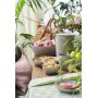 GastroMax Assiette creuse grand BIO, diamtre: 220 mm, gris