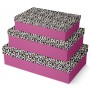 Clairefontaine Set de botes cadeau \"Lopard\", 3 pices