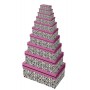 Clairefontaine Set de botes cadeau \"Lopard\", 10 pices