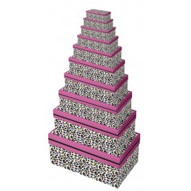 Clairefontaine Set de botes cadeau \"Lopard\", 10 pices