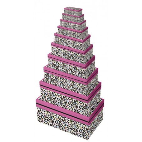 Clairefontaine Set de botes cadeau \"Lopard\", 10 pices