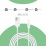 Câble de charge USB-C - Lightning 1m blanc 12W