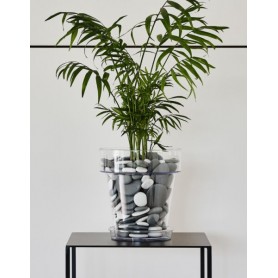tera Pot de fleurs \"Porto 16\", transparent