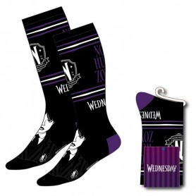 Wednesday adult socks