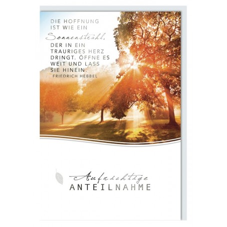 SUSY CARD Trauerkarte "Feine Zweige 2"