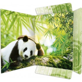 RNK Verlag Pochette dessins "Panda", A3