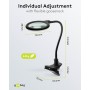 Lampe Loupe à LED avec Pince, 6 W, noir480 lm, lentille en verre de 100 mm, grossissement 1,75 fois, 3 dioptries
