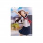 Karakai Josu no Takagi-san - Takagi-san figure 19cm
