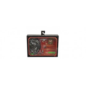 Alien Romulus accessories 10pcs