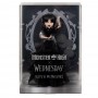 Monster High x Wednesday poupée Rave\'n Wednesday